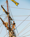 _D3_8450