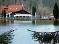 DSC02409