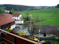 Germany & Austria