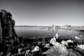 IMG_0240